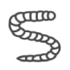 icon-Tapeworm